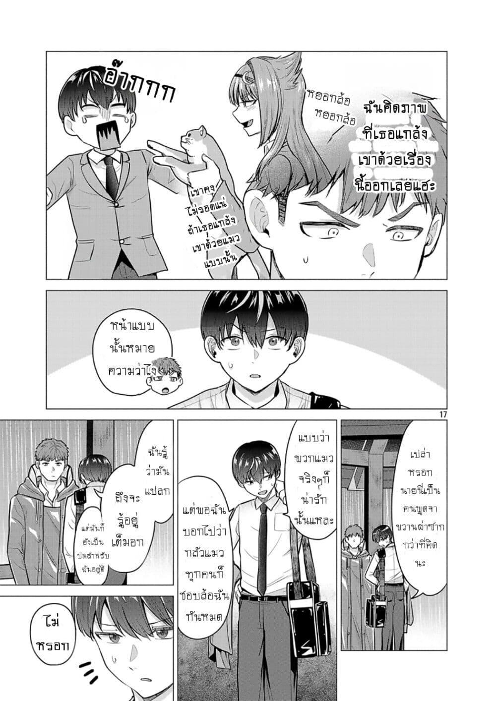 หน้า 17