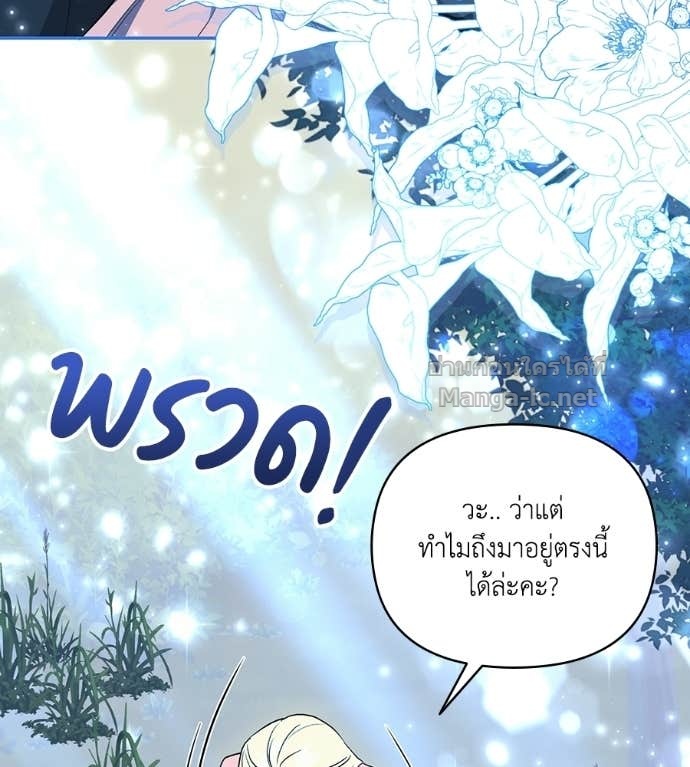 หน้า 117