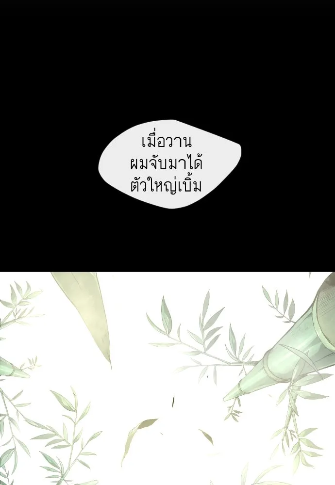 หน้า 146
