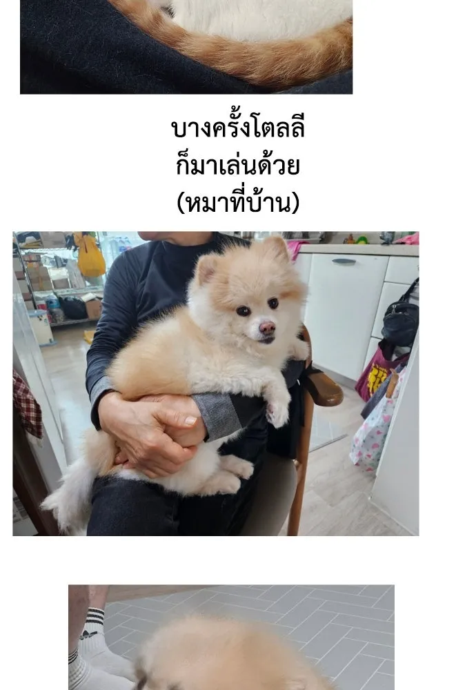 หน้า 52