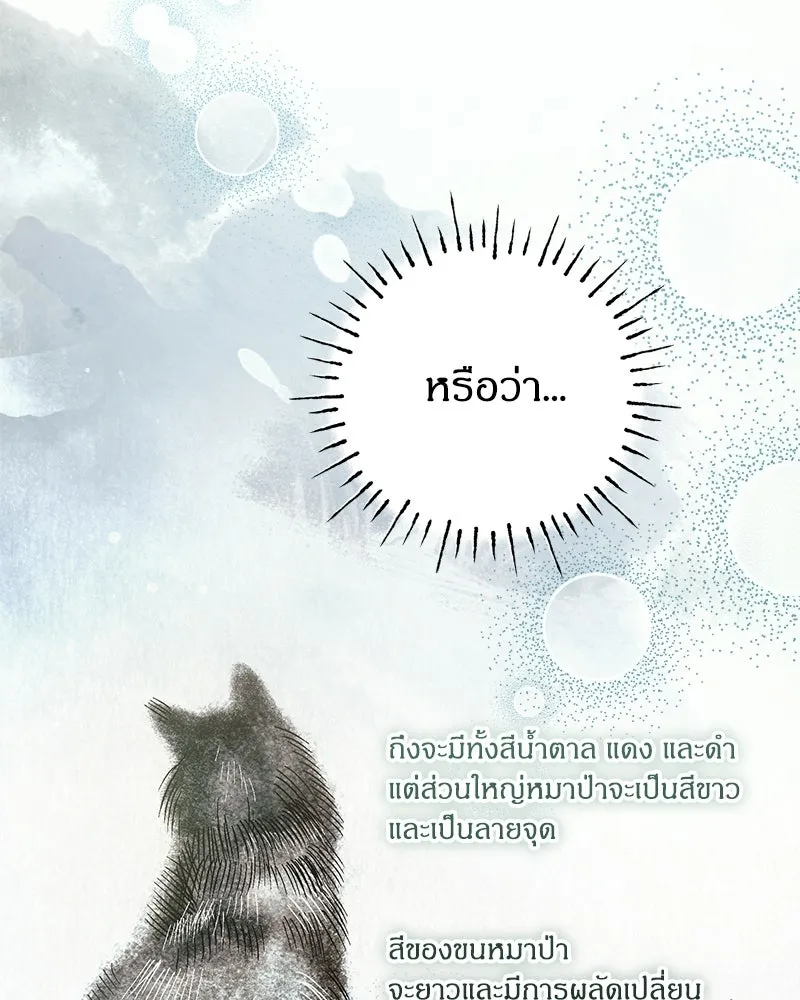 หน้า 95