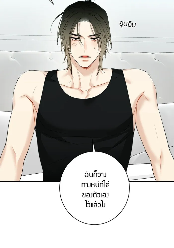 หน้า 41