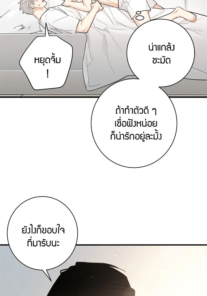 หน้า 44