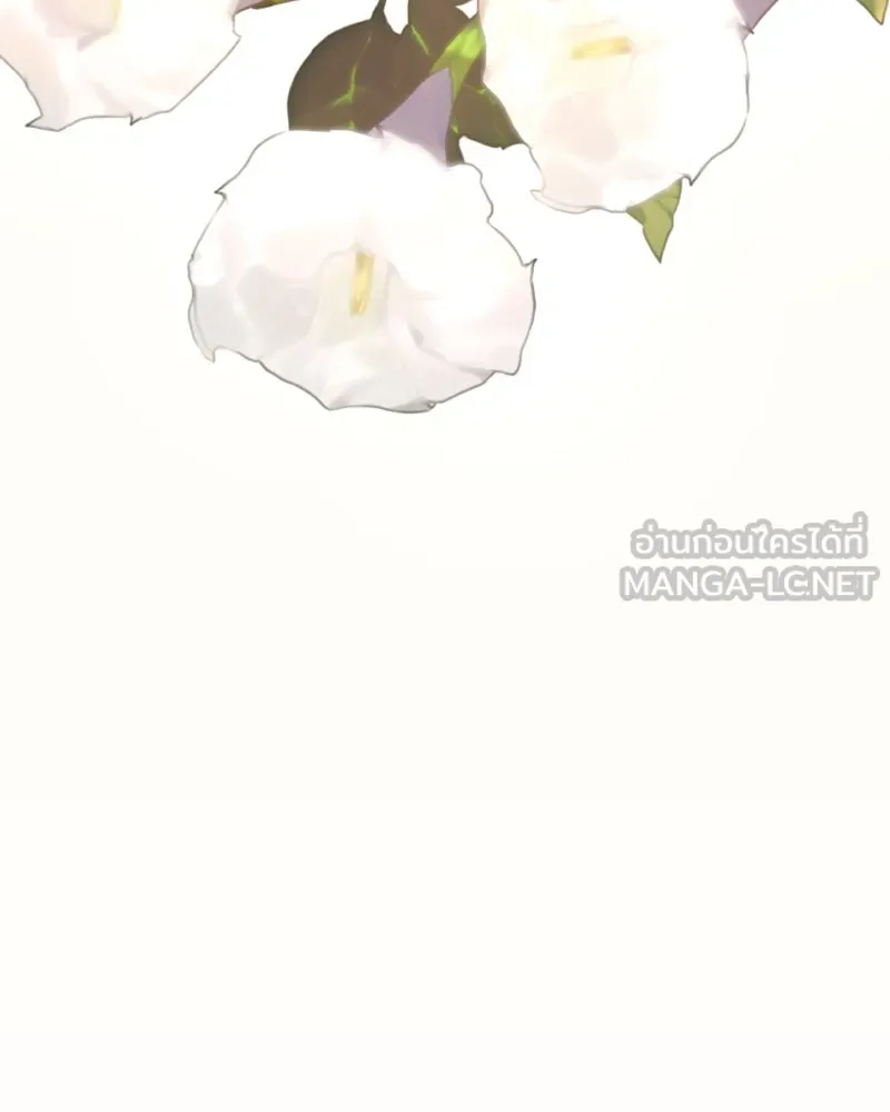 หน้า 225