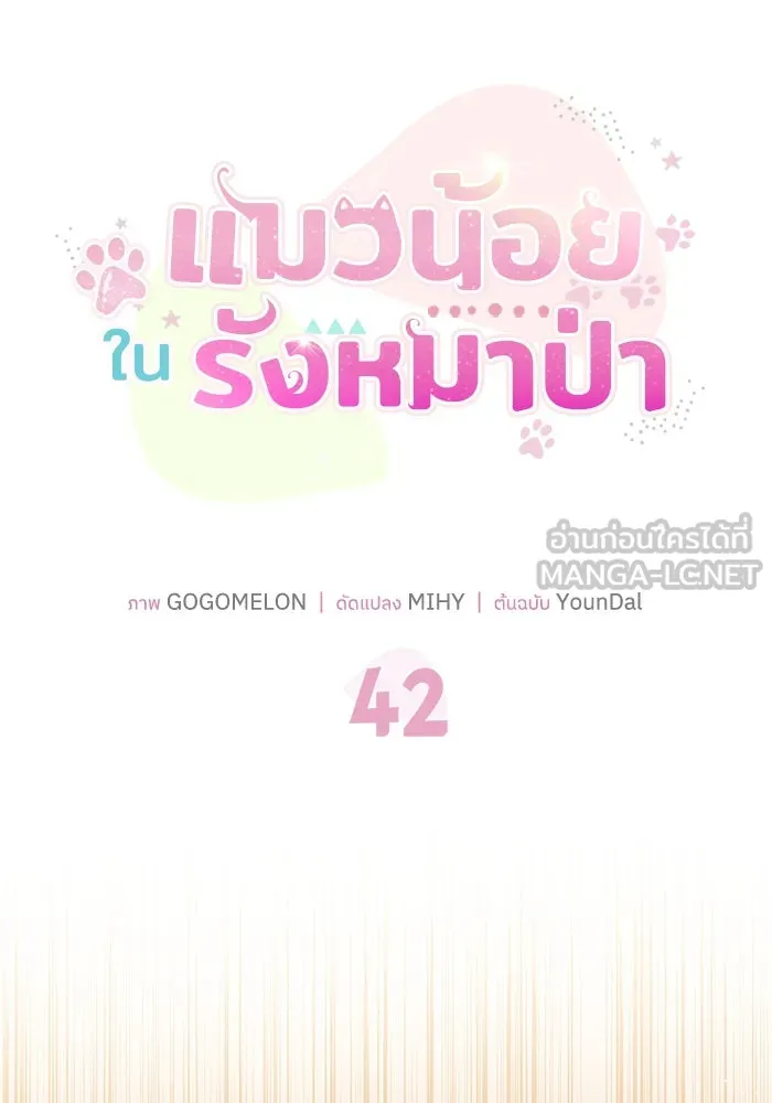 หน้า 42