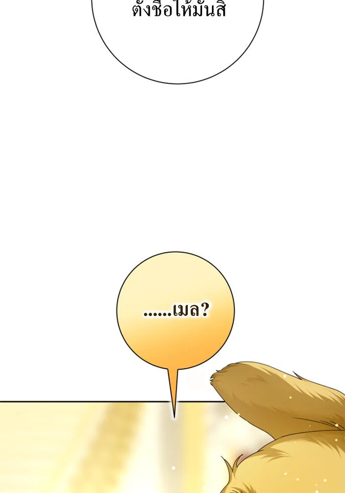 หน้า 146
