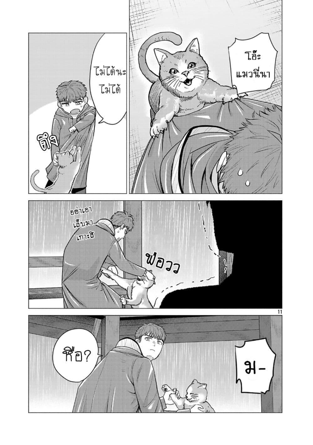 หน้า 11