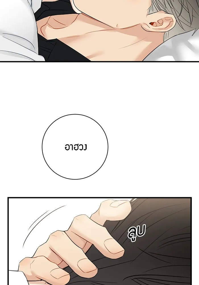 หน้า 44