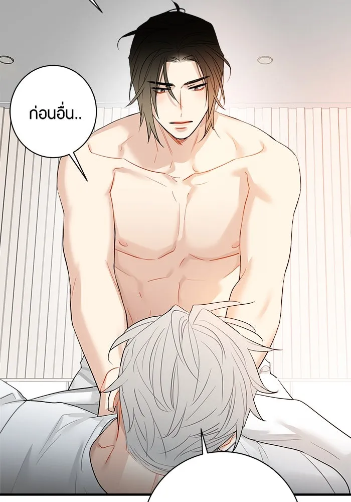 หน้า 41