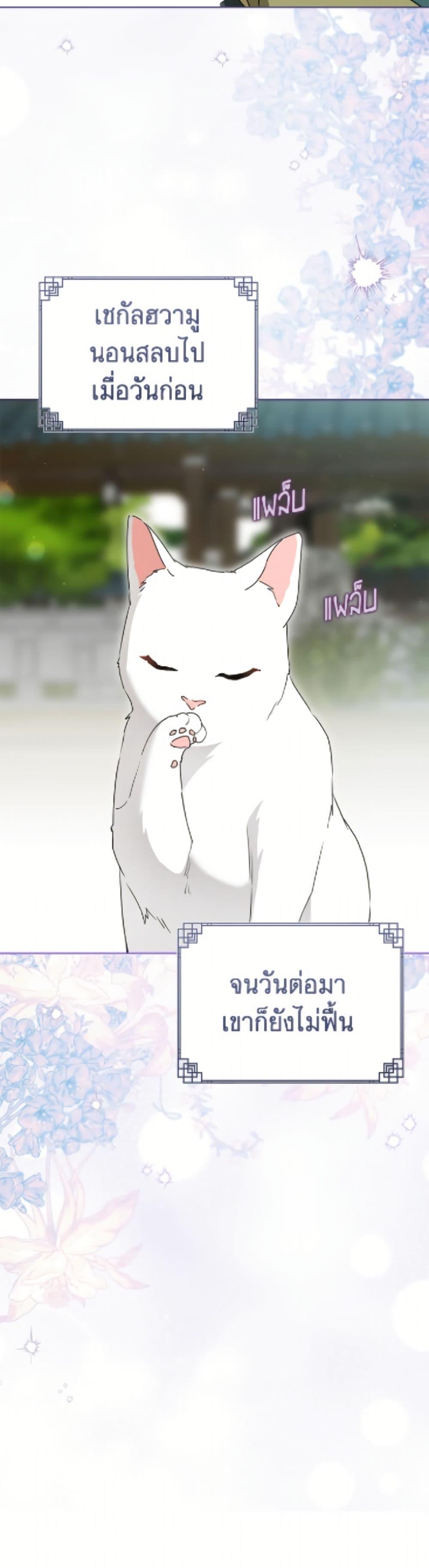 หน้า 51