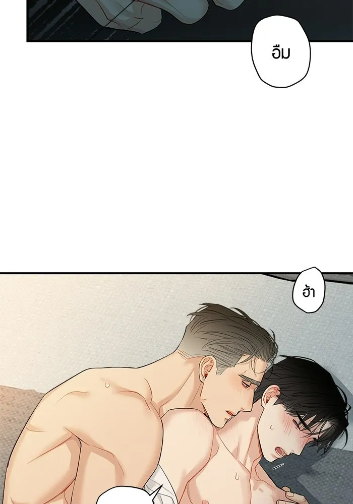 หน้า 43