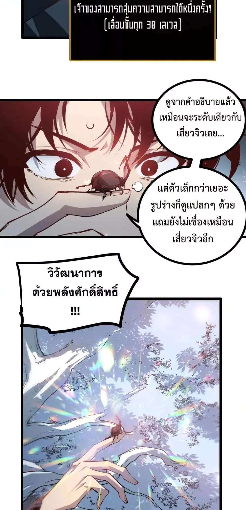 หน้า 24