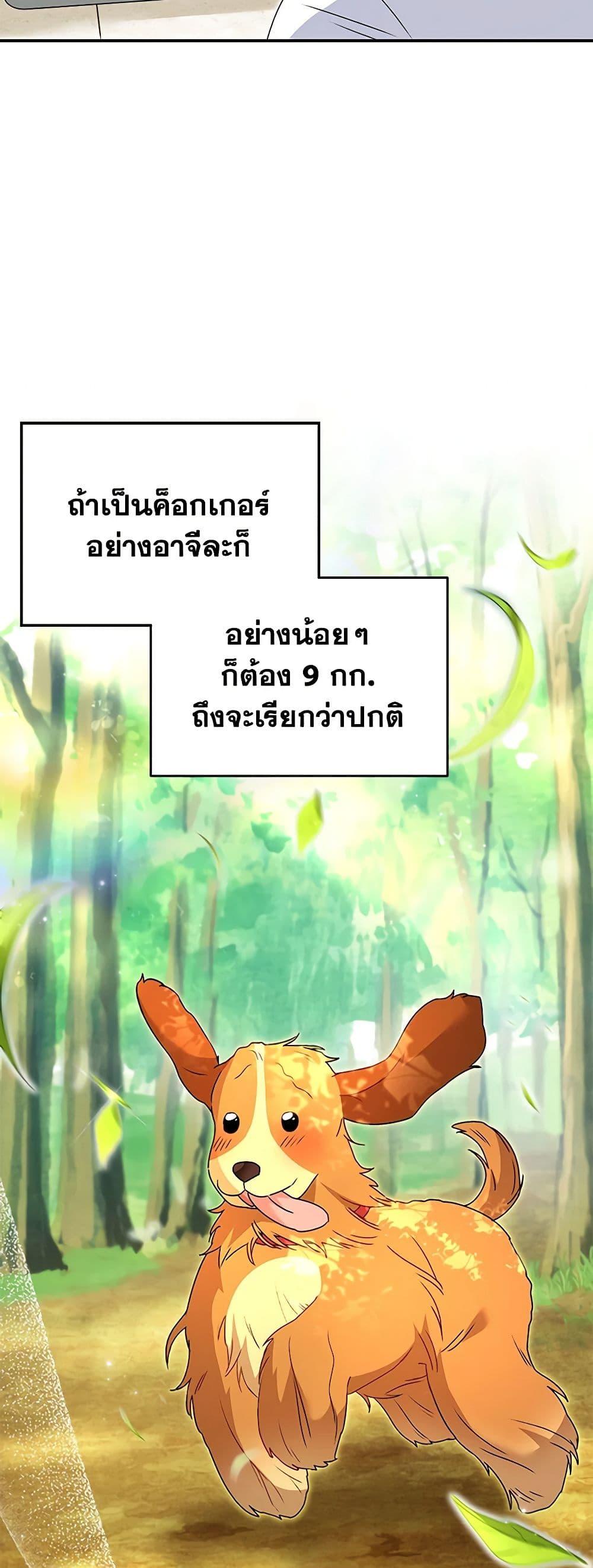 หน้า 41